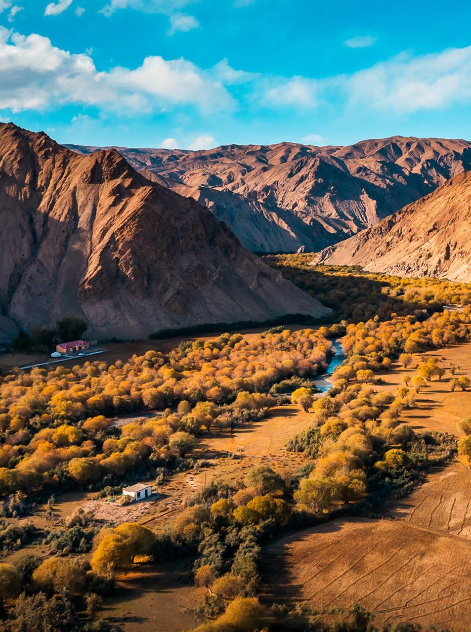 坎兒洋大峽谷秋日美景。壯美帕米爾公眾號(hào)